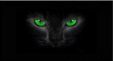 After the car manufacturers selling creative funny stickers horror 3D stereo file Glass Sticker personality perspective