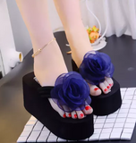 Seaside foam platform wedge slipper