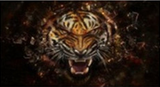 After the car manufacturers selling creative funny stickers horror 3D stereo file Glass Sticker personality perspective