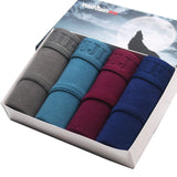 Men's underwear cotton